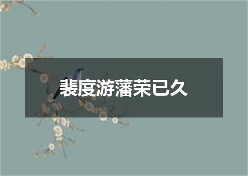 裴度游藩荣已久