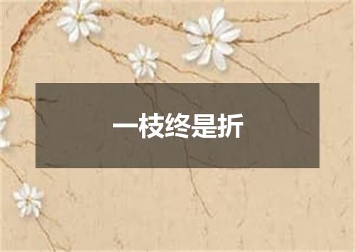 一枝终是折