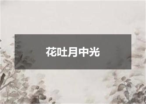 花吐月中光
