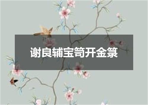 谢良辅宝笥开金箓