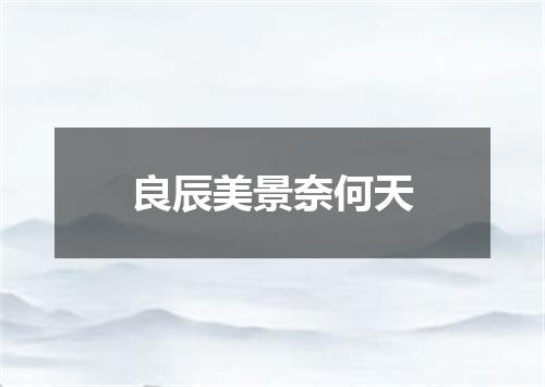 良辰美景奈何天