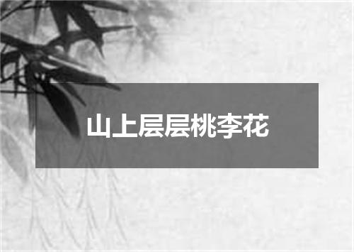 山上层层桃李花