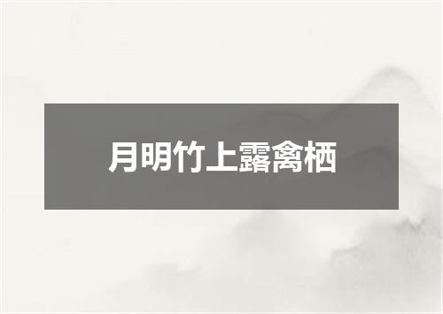 月明竹上露禽栖