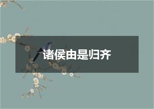 诸侯由是归齐