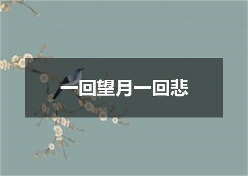 一回望月一回悲