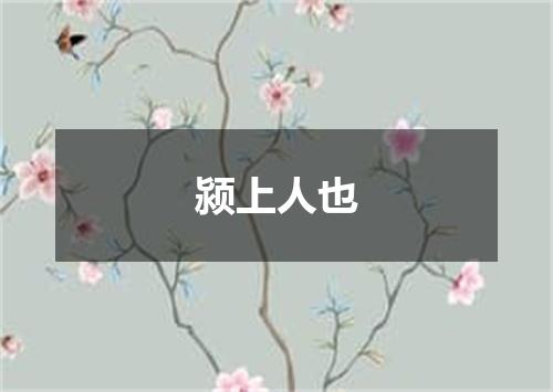 颍上人也
