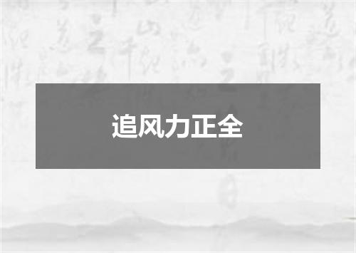 追风力正全
