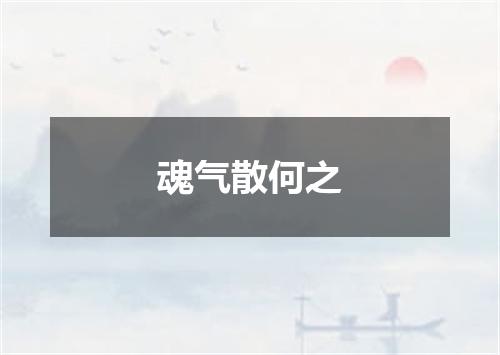 魂气散何之