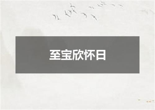 至宝欣怀日