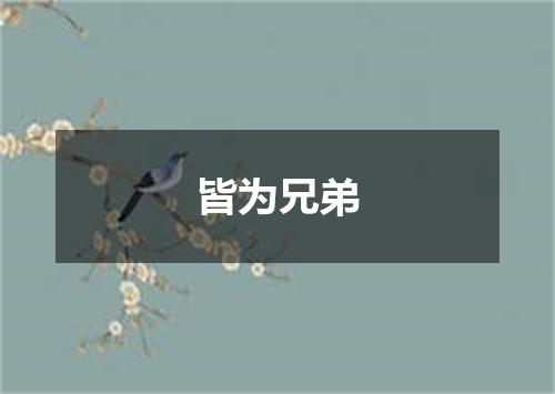 皆为兄弟