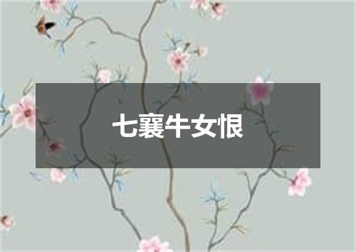七襄牛女恨