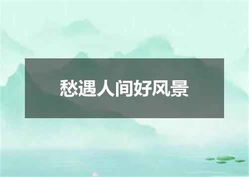 愁遇人间好风景