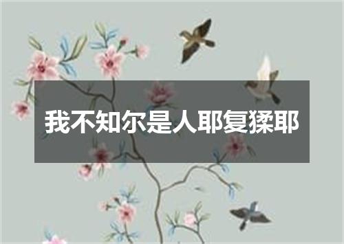 我不知尔是人耶复猱耶