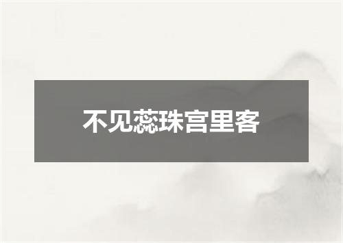 不见蕊珠宫里客