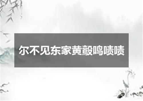 尔不见东家黄鷇鸣啧啧