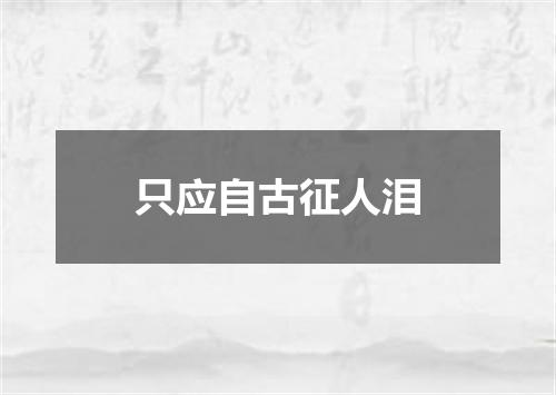 只应自古征人泪