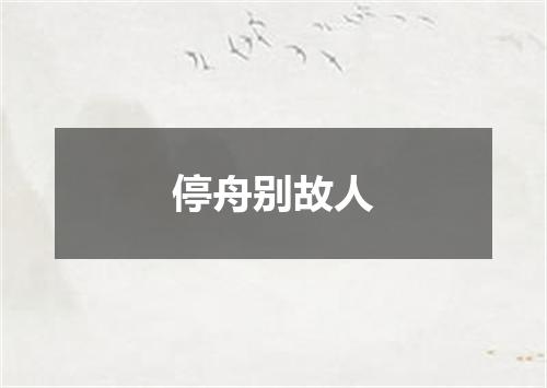 停舟别故人