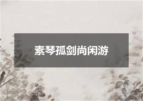 素琴孤剑尚闲游