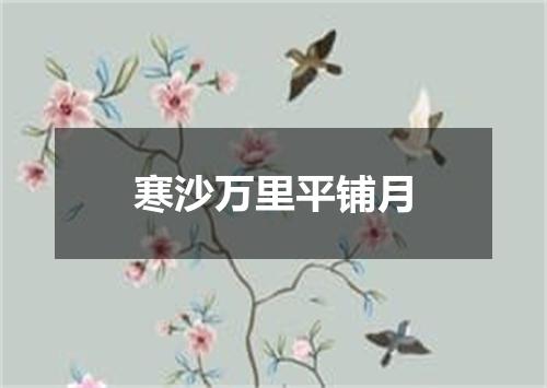 寒沙万里平铺月