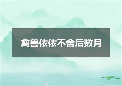 禽兽依依不舍后数月