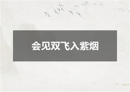 会见双飞入紫烟
