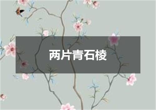 两片青石棱