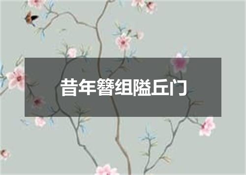 昔年簪组隘丘门