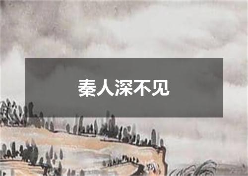 秦人深不见