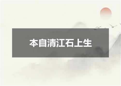 本自清江石上生