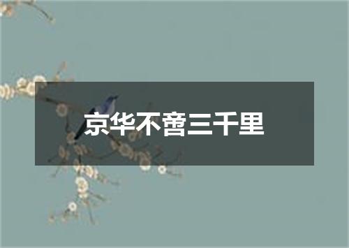 京华不啻三千里