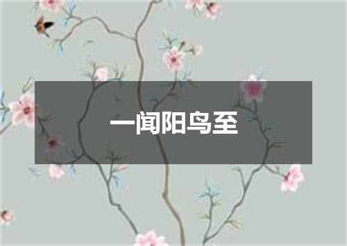 一闻阳鸟至