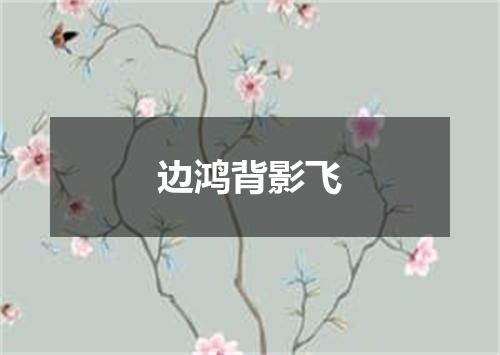 边鸿背影飞