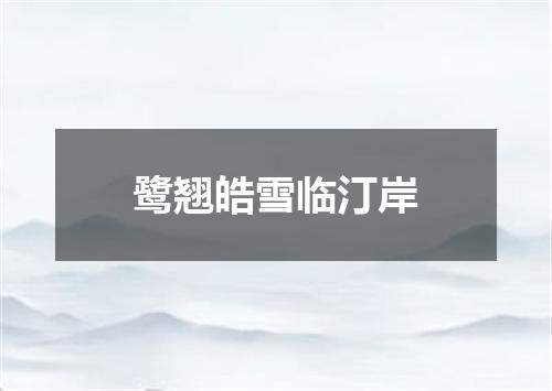 鹭翘皓雪临汀岸