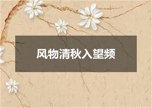 风物清秋入望频