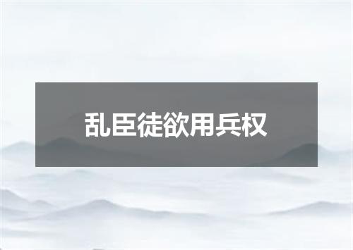 乱臣徒欲用兵权