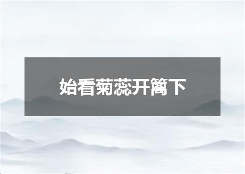 始看菊蕊开篱下