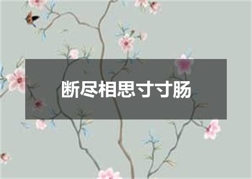 断尽相思寸寸肠
