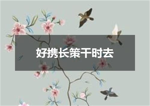 好携长策干时去