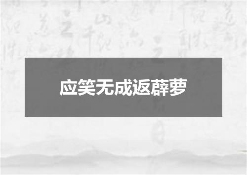 应笑无成返薜萝