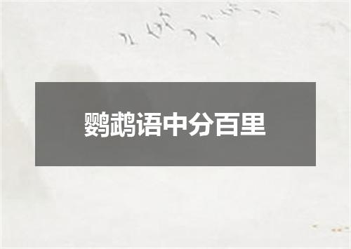 鹦鹉语中分百里
