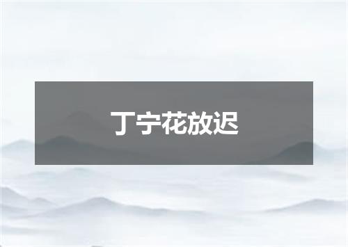 丁宁花放迟