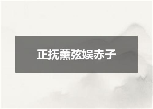 正抚薰弦娱赤子