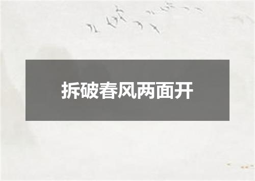 拆破春风两面开