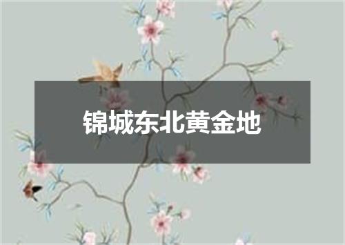 锦城东北黄金地