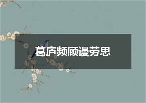 葛庐频顾谩劳思