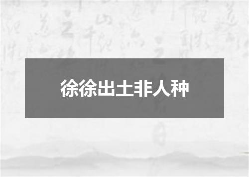 徐徐出土非人种