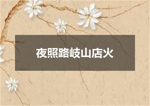 夜照路岐山店火