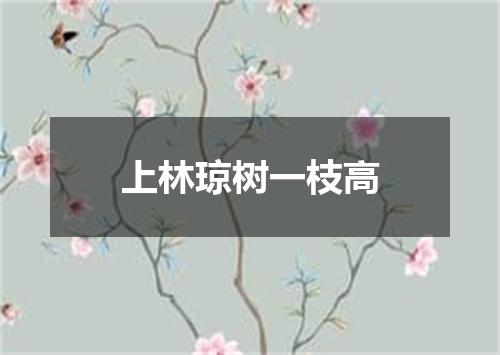 上林琼树一枝高