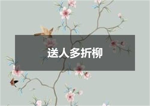 送人多折柳