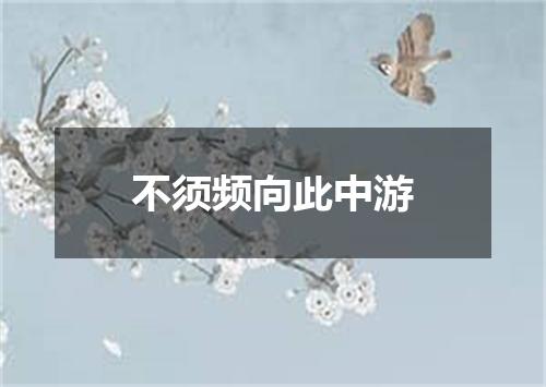 不须频向此中游
